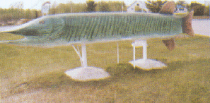 [picture of The Big Fish]